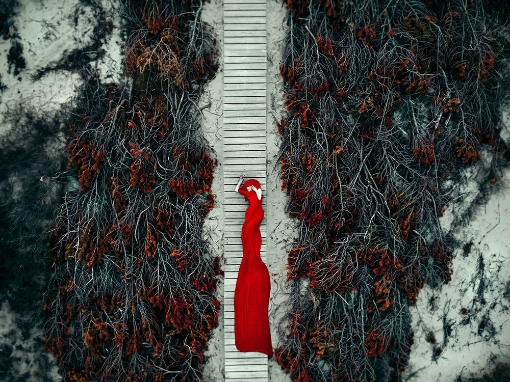 My Road-My Dream-My Life... art print by Ruslan Bolgov for $57.95 CAD