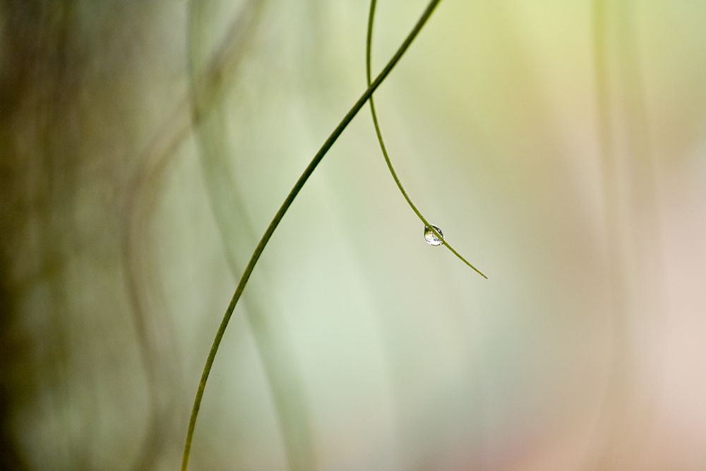Droplet art print by Mel Brackstone for $57.95 CAD
