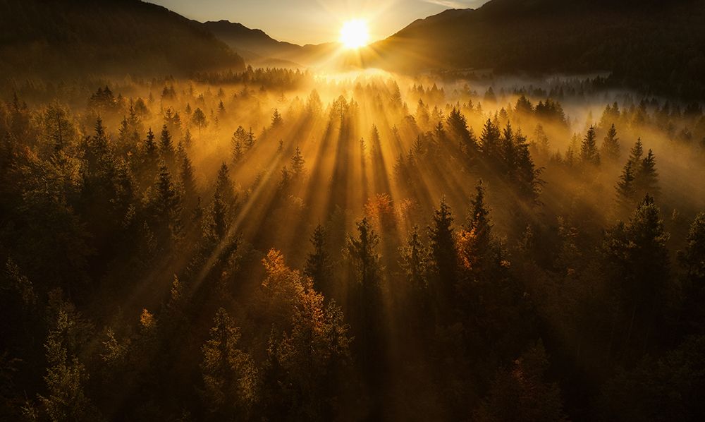 Aerial Shot Of An Autumn Forest art print by Ales Krivec for $57.95 CAD