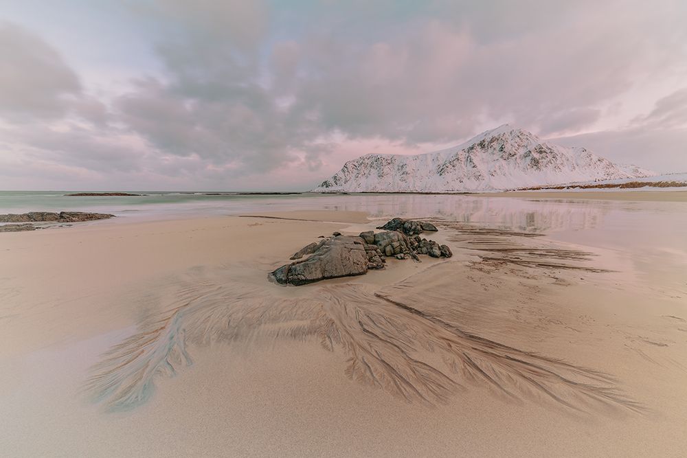 Arctic Impressions I art print by Adrian Popan for $57.95 CAD