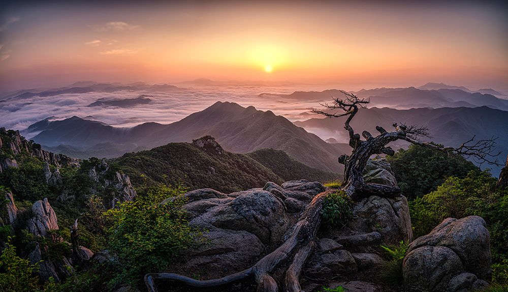 Sunrise On Top art print by Tiger Seo for $57.95 CAD