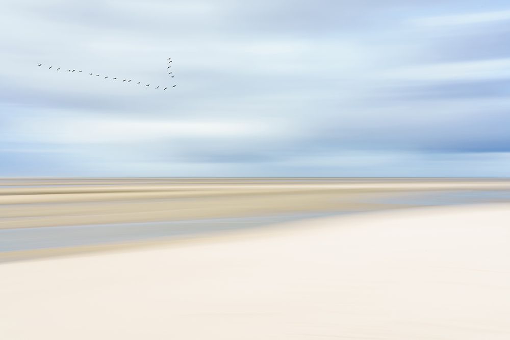 At The Ocean Iii art print by Dieter Reichelt for $57.95 CAD