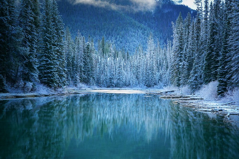 Wonder Winter Land art print by Yongnan Li for $57.95 CAD