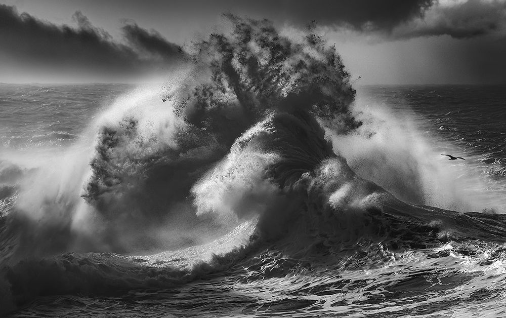 Poseidon Majesty (Part 4) art print by Paolo Lazzarotti for $57.95 CAD