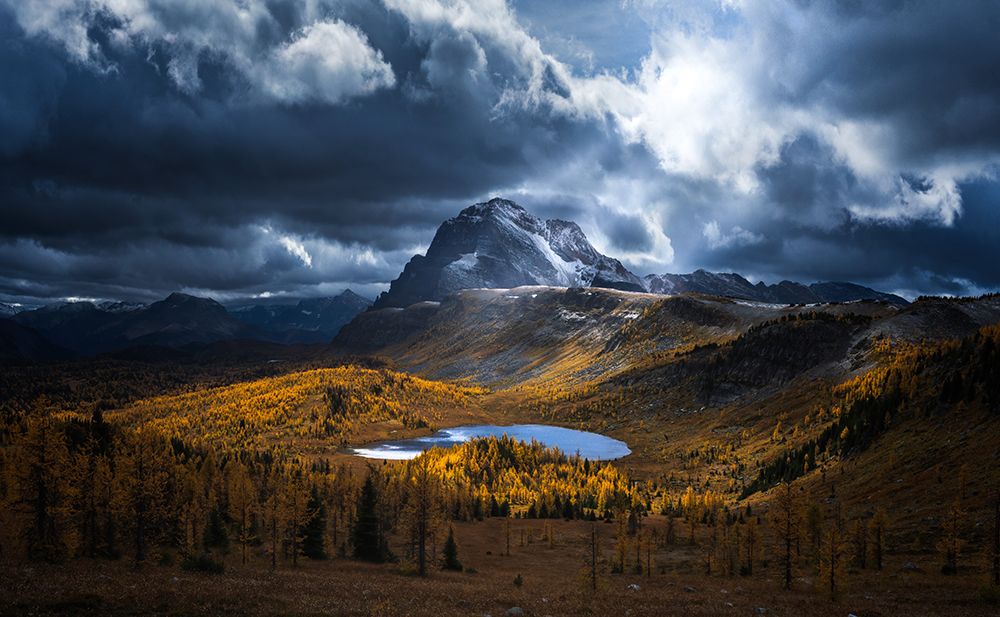 Healy Pass Golden Time art print by Yongnan Li for $57.95 CAD
