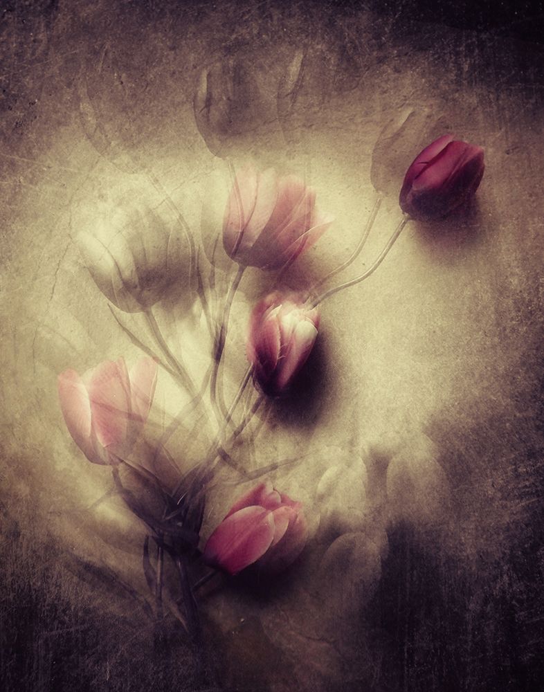 Love Will Be There art print by Kahar Lagaa for $57.95 CAD