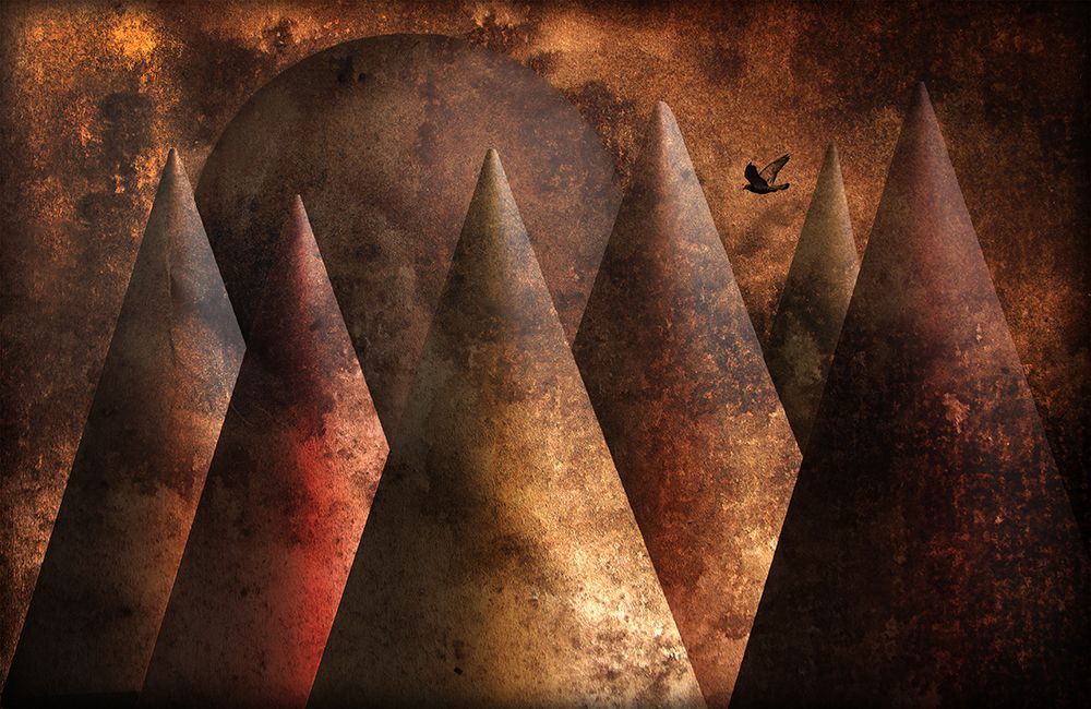 Lonely Bird art print by Jan Donckers for $57.95 CAD