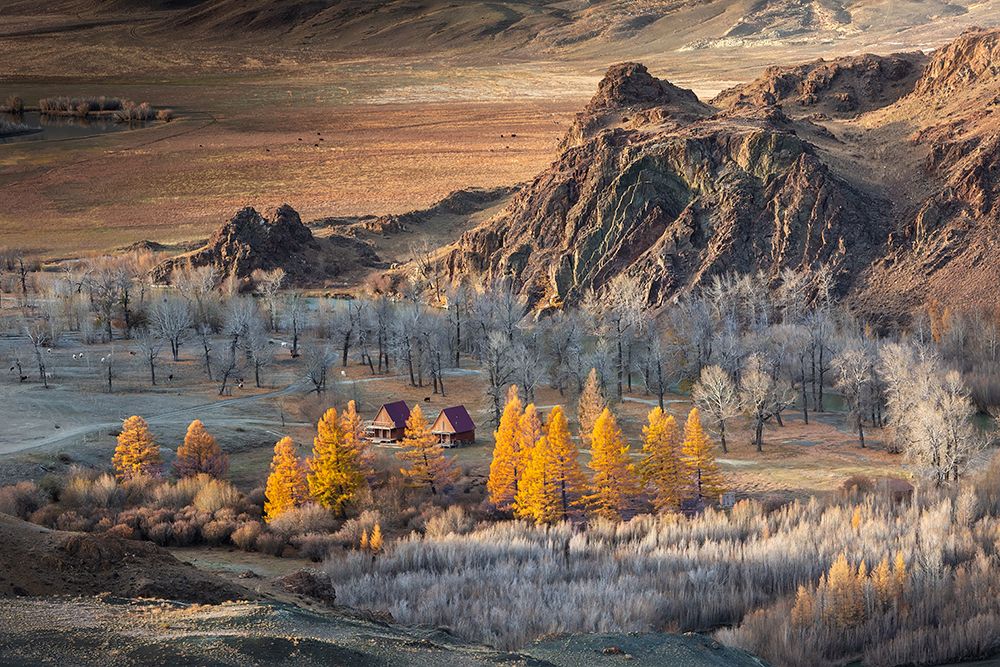 Oasis In The Mountains (Altai) art print by Anna Pakutina for $57.95 CAD