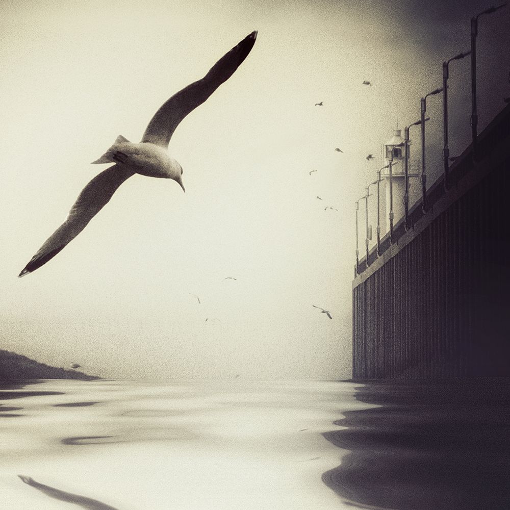 The Tide art print by Piet Flour for $57.95 CAD
