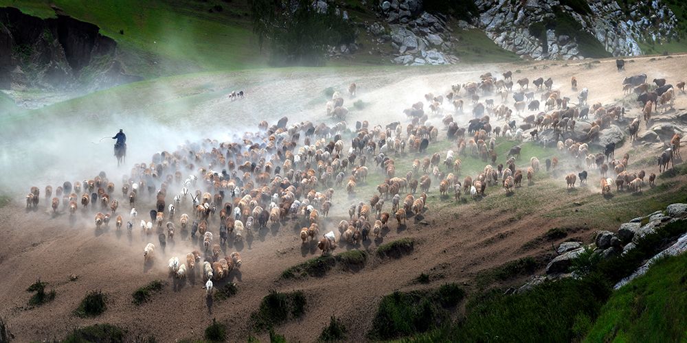 The Great Migration Of Kazakh art print by Hua Zhu for $57.95 CAD