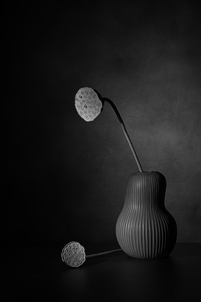 Black velvet 2 art print by Saskia Dingemans for $57.95 CAD