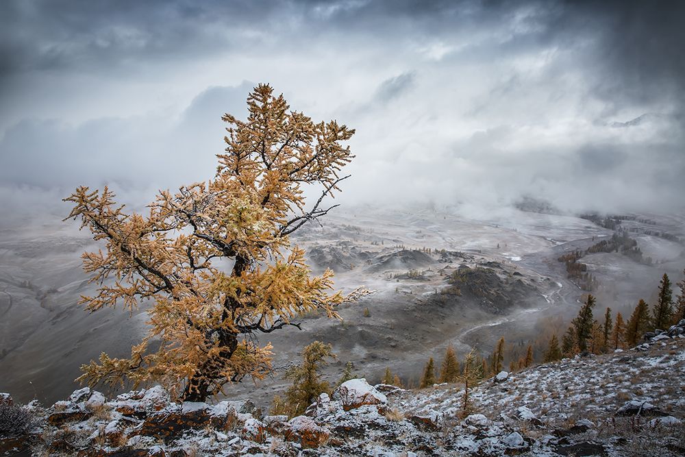 Cold autumn morning in the mountains art print by Anna Pakutina for $57.95 CAD