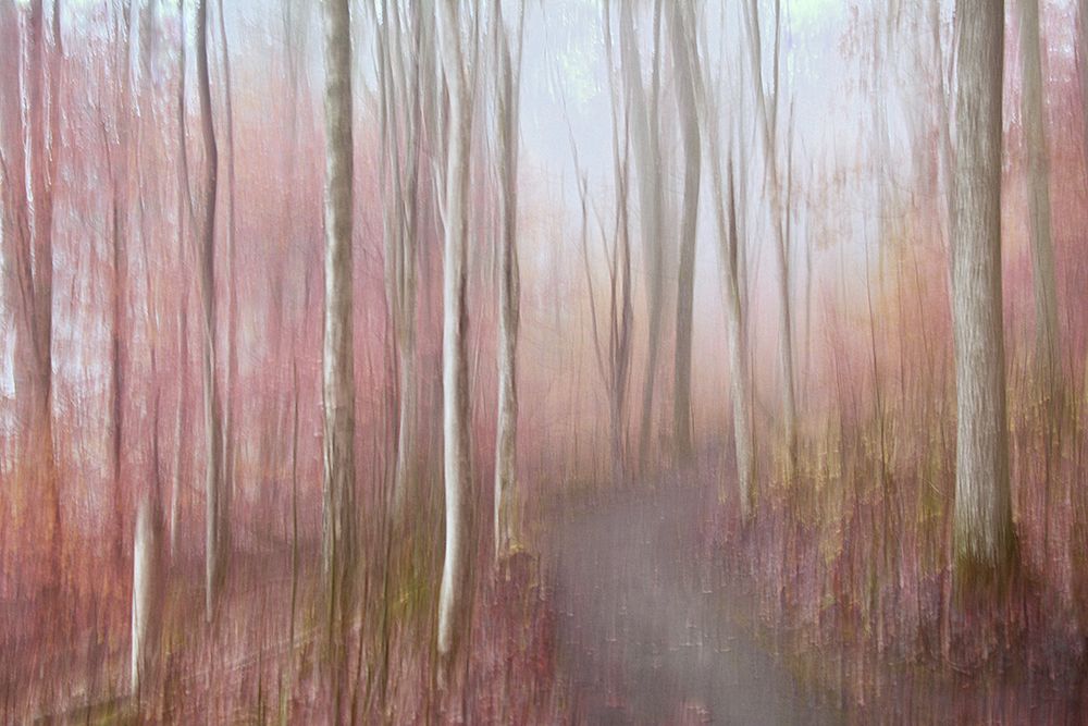 Soft Autumn art print by Christina Sillen for $57.95 CAD