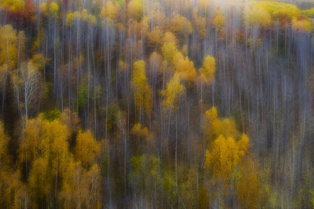 The color of autumn art print by Bingo Z for $57.95 CAD
