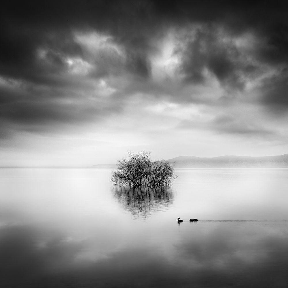 A Ray of Light art print by George Digalakis for $57.95 CAD