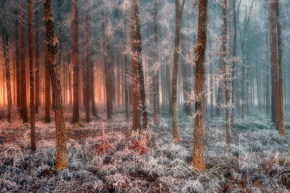 Ice And Fire art print by Jure Kravanja for $57.95 CAD