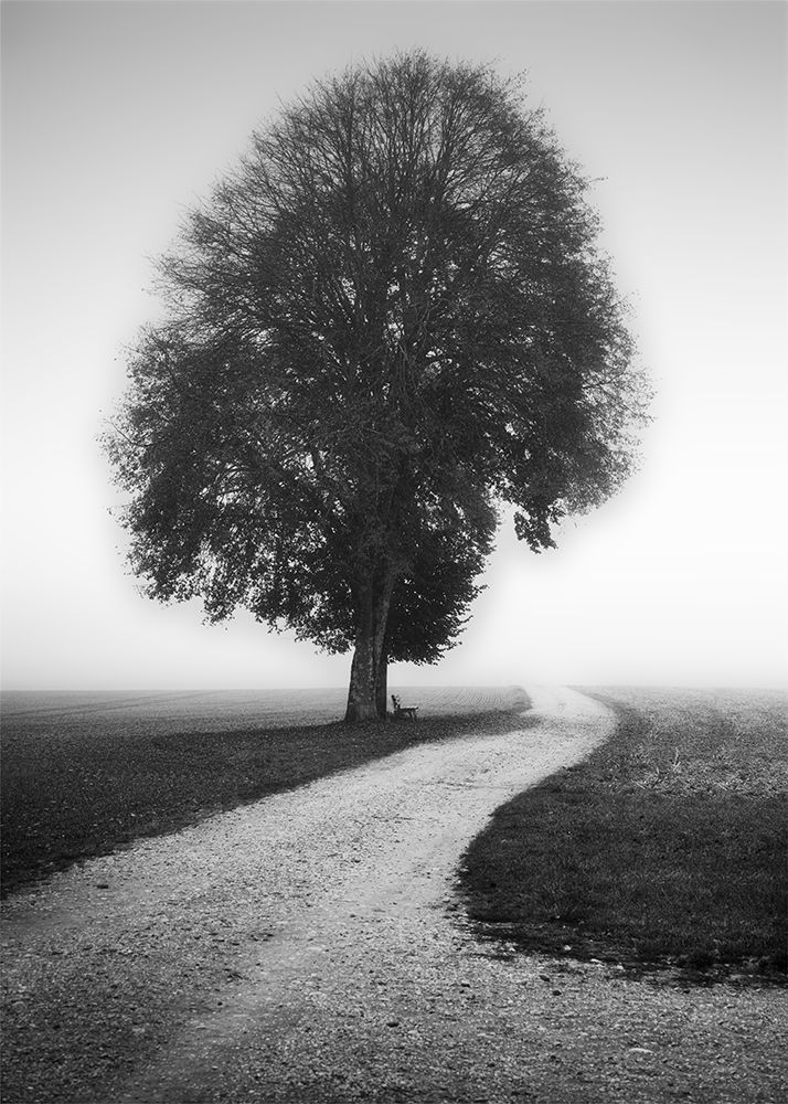 Poet art print by Alexej Schulz for $57.95 CAD