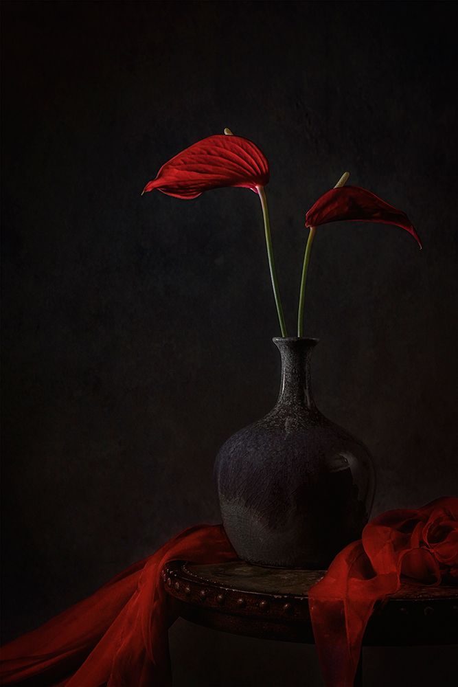 Tropical Anthurium art print by Lydia Jacobs for $57.95 CAD