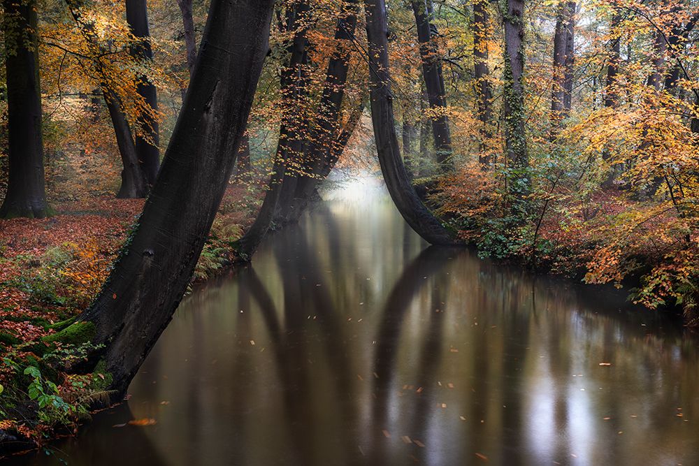 Autumn art print by Marco Galimberti for $57.95 CAD