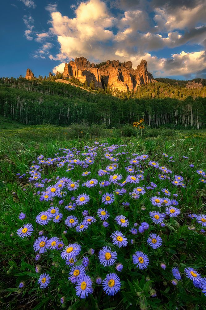 Canyon And Daisies art print by Mei Xu for $57.95 CAD