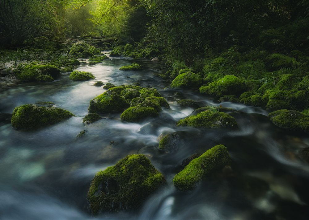 Gljun creek art print by Tomaz Klemensak for $57.95 CAD