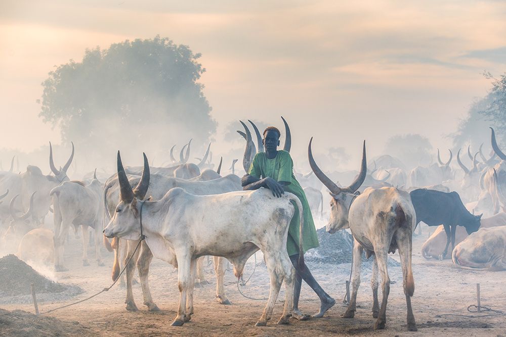 Dinka Herder art print by Trevor Cole for $57.95 CAD