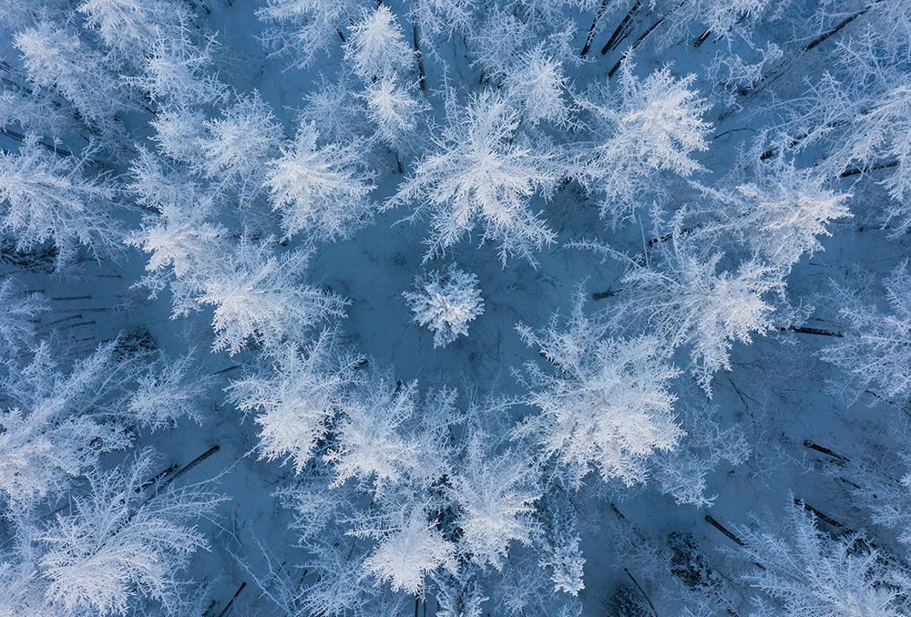 Frozen art print by Andrey Snegirev for $57.95 CAD