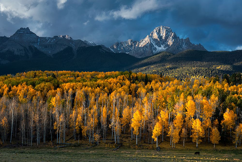 Mt Sneffels In Autumn art print by Mei Xu for $57.95 CAD