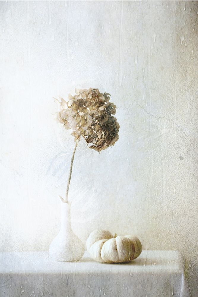 Autumn Feelings art print by Delphine Devos for $57.95 CAD