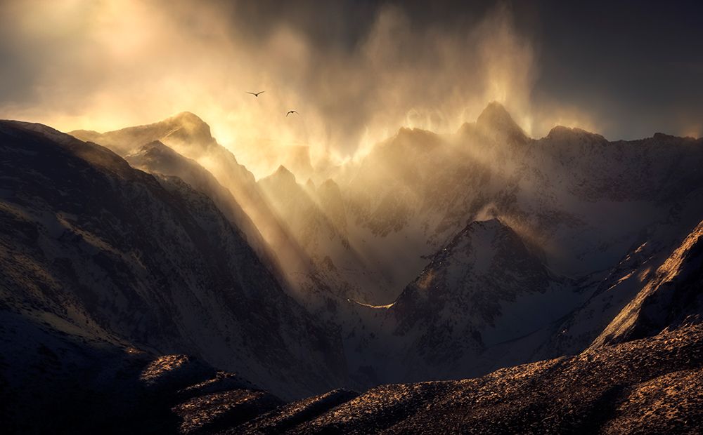 Polterzeitgeist art print by Ryan Dyar for $57.95 CAD