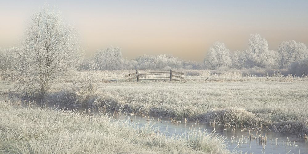 winter in the wieden art print by Annie Keizer for $57.95 CAD