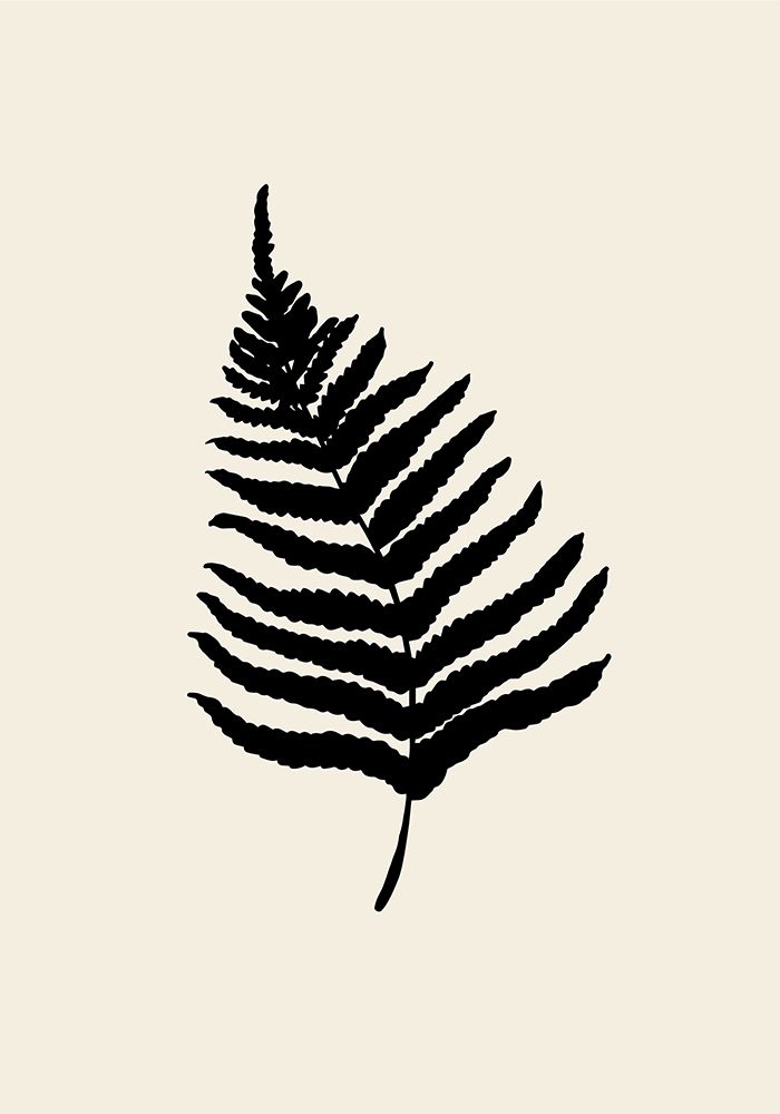 Fern art print by 1x Studio for $57.95 CAD