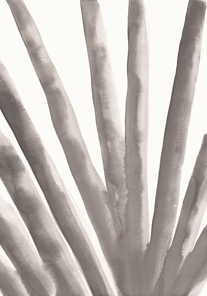 Aloe Vera art print by 1x Studio for $57.95 CAD