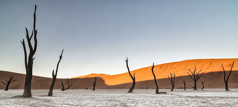 Namibian Desert art print by Luigi Ruoppolo for $57.95 CAD