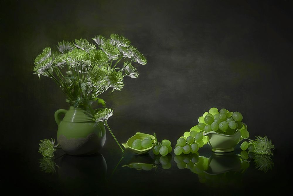 Chrysanthemum And Grape art print by Lydia Jacobs for $57.95 CAD