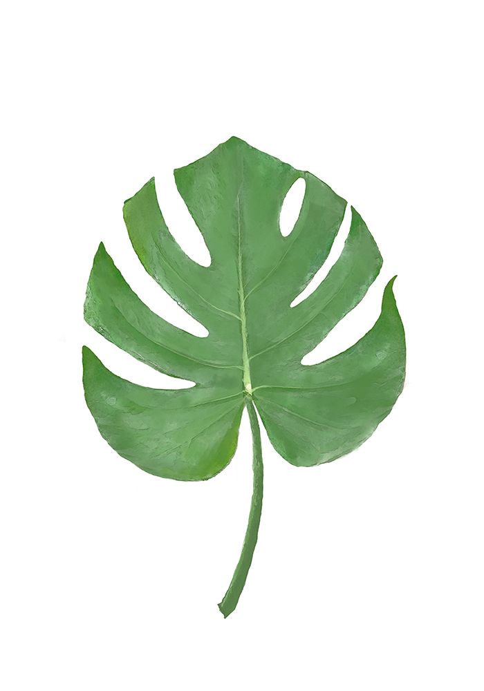 Monstera Aqua 07 art print by 1x Studio II for $57.95 CAD