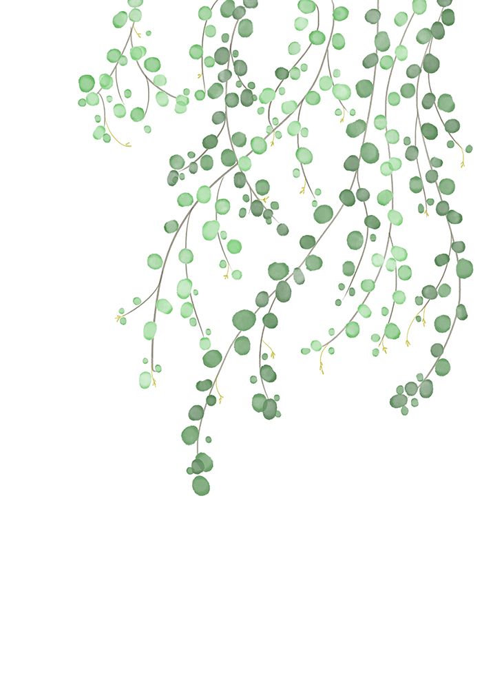 Birch Tree art print by 1x Studio II for $57.95 CAD