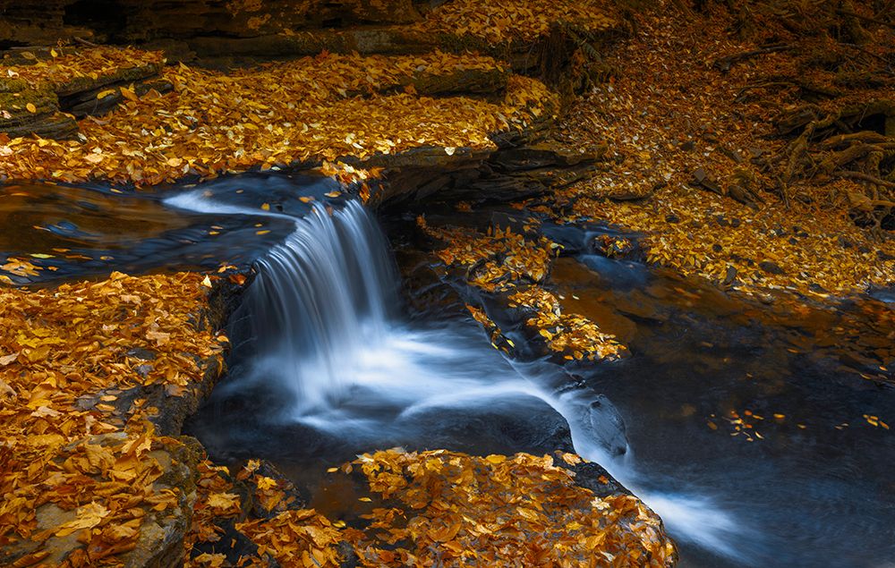 Autumn Waterfall art print by Binbin L. for $57.95 CAD