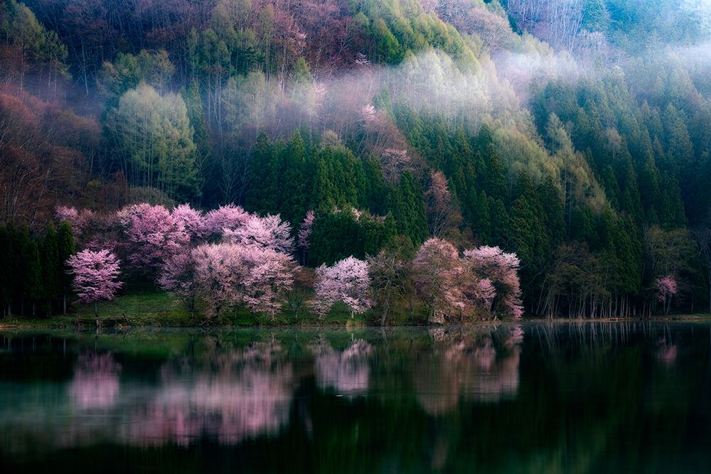 In The Morning Mist art print by Takeshi Mitamura for $57.95 CAD