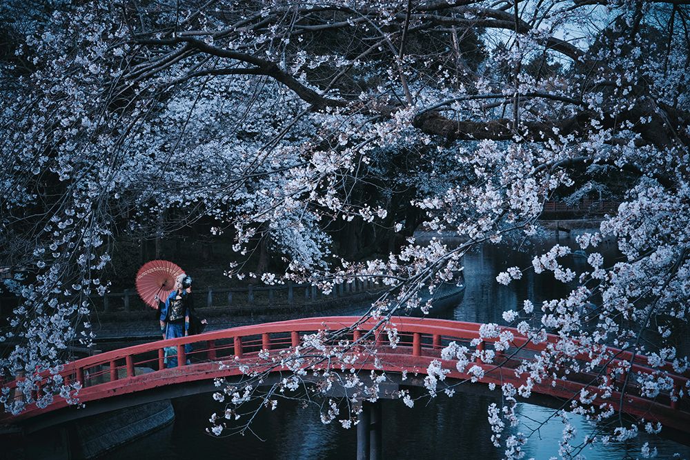 Untitled art print by KOIKI for $57.95 CAD