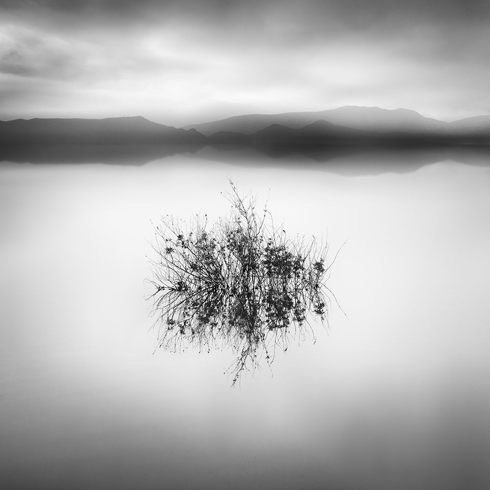 Lake Reflections Ii art print by George Digalakis for $57.95 CAD