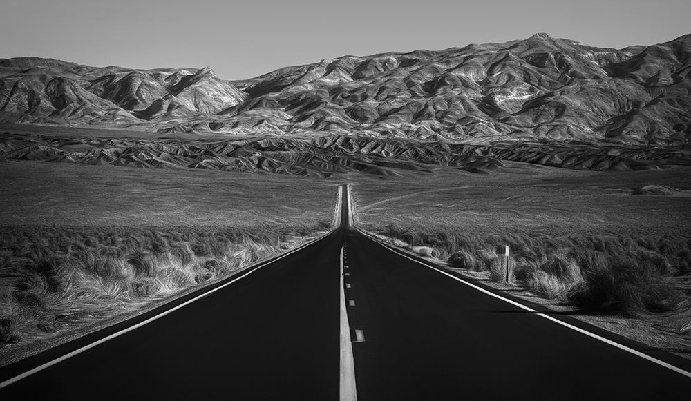 Ruta art print by Roxana Labagnara for $57.95 CAD