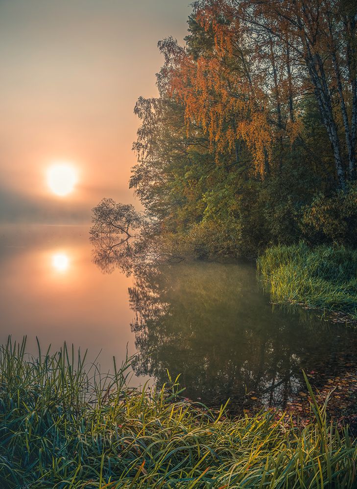 Foggy Fall Lake art print by Christian Lindsten for $57.95 CAD