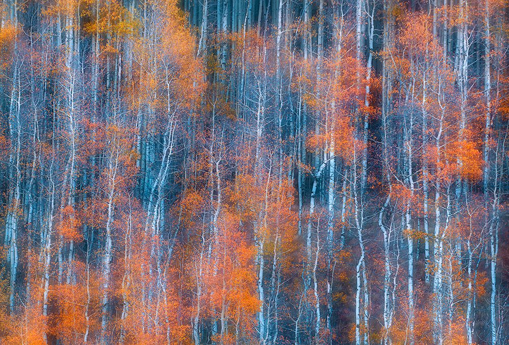 Autumn Abstract art print by Mei Xu for $57.95 CAD