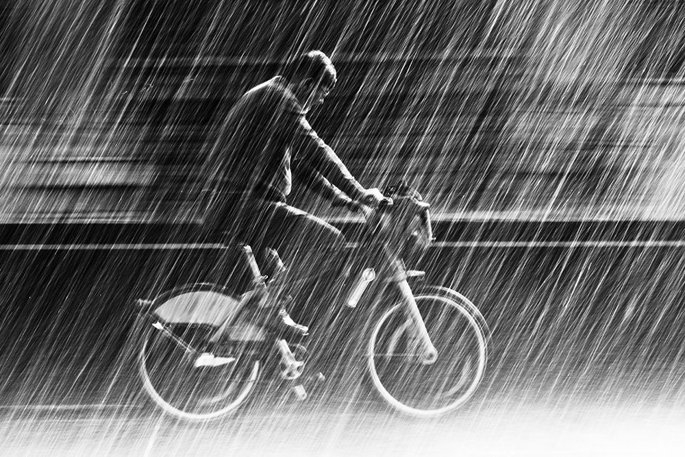 its raining cats and dogs art print by Christian Muller for $57.95 CAD