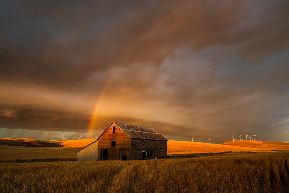 Witness Of The Rainbow art print by John Fan for $57.95 CAD