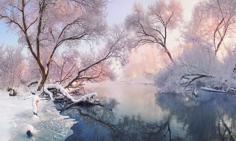 Christmas Lace art print by Vlad Sokolovsky for $57.95 CAD