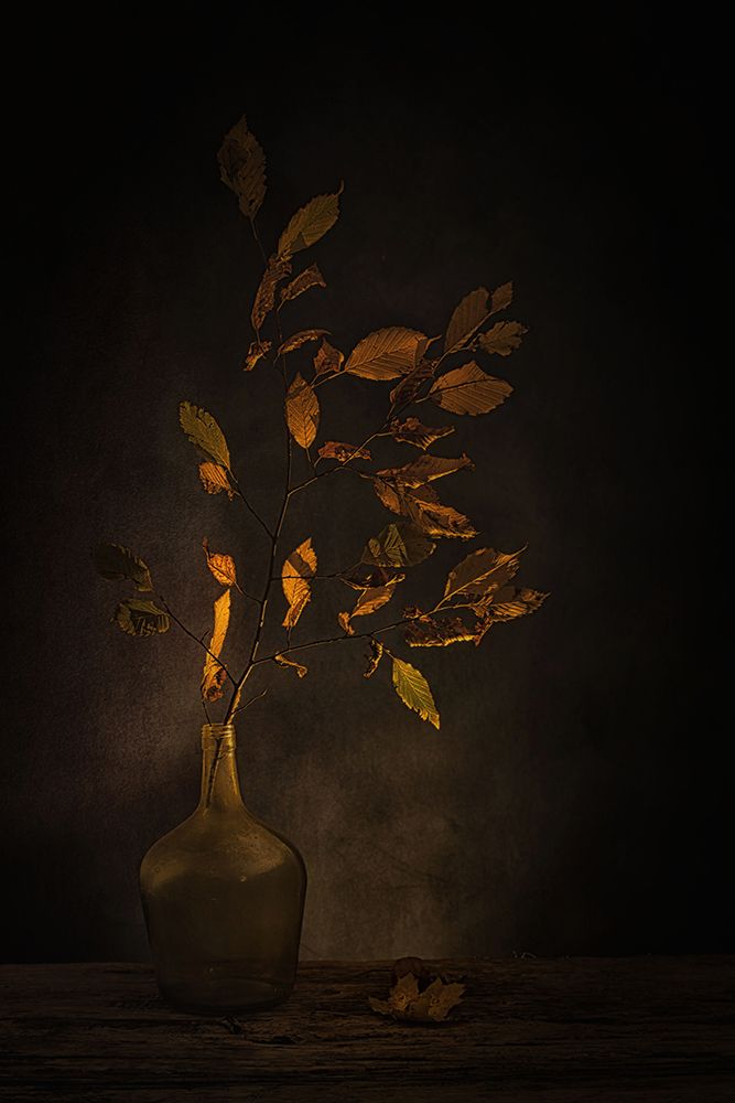 Ephemeral Beauty art print by Saskia Dingemans for $57.95 CAD
