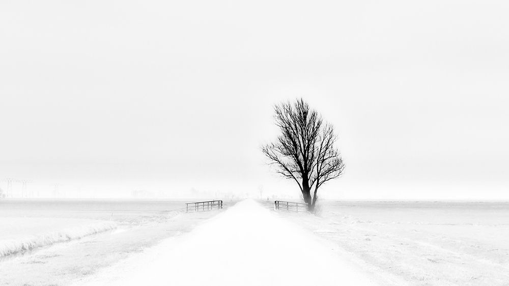My Tiny World art print by Jacob Tuinenga for $57.95 CAD
