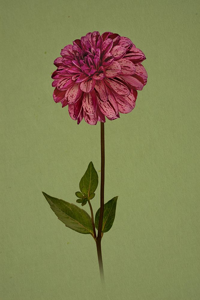 Pretty girl art print by Richard Urbanski for $57.95 CAD